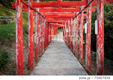 Torii Gates of the Motonosumi Inari Shrine in Yamaguchi, Japan Torii Gates of the Motonosumi Inari Shrine in Yamaguchi, Japan 75667958