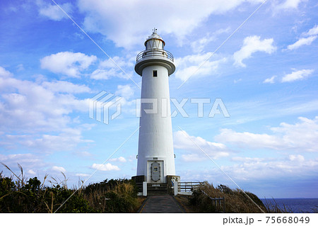 静岡県下田市の爪木崎海岸 75668049