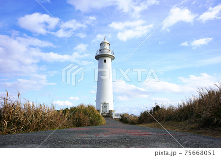 静岡県下田市の爪木崎海岸 75668051