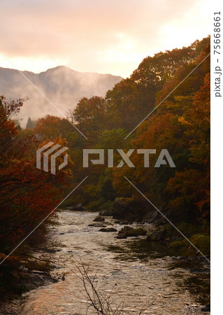 早出川渓谷の紅葉(新潟県) 早出川渓谷の紅葉(新潟県) 75668661