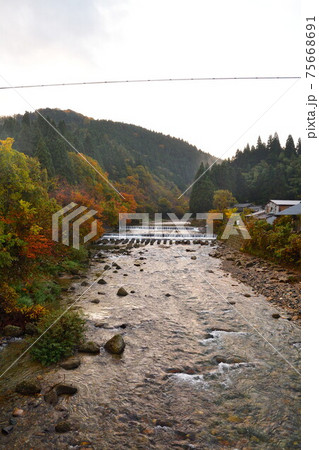 早出川渓谷の紅葉(新潟県) 早出川渓谷の紅葉(新潟県) 75668691