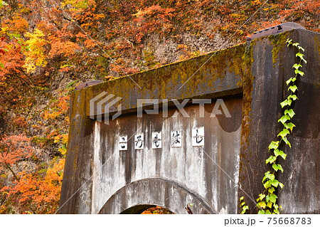 早出川渓谷の衣岩(新潟県) 早出川渓谷の衣岩(新潟県) 75668783