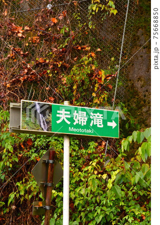 早出川渓谷の夫婦滝(新潟県) 早出川渓谷の夫婦滝(新潟県) 75668850