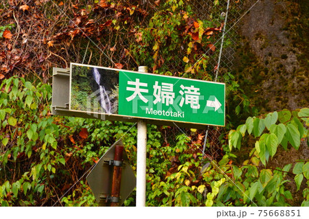 早出川渓谷の夫婦滝(新潟県) 早出川渓谷の夫婦滝(新潟県) 75668851