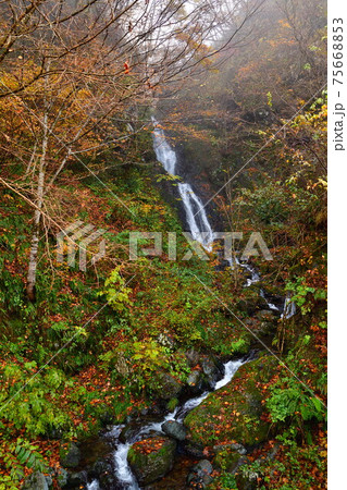 早出川渓谷の夫婦滝(新潟県) 早出川渓谷の夫婦滝(新潟県) 75668853