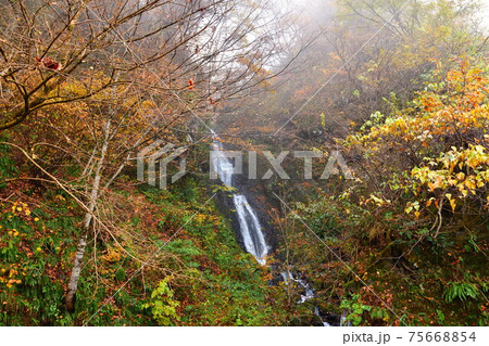 早出川渓谷の夫婦滝（新潟県） 75668854