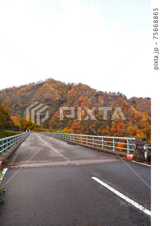 早出川渓谷の紅葉（新潟県） 75668865