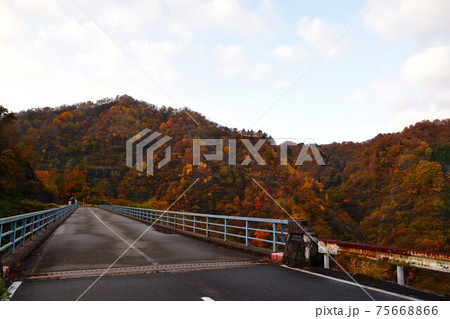 早出川渓谷の紅葉（新潟県） 75668866