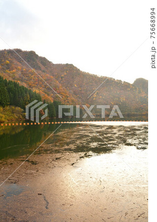 早出川ダムの紅葉(新潟県) 早出川ダムの紅葉(新潟県) 75668994