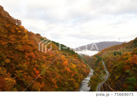 早出川ダムからの紅葉(新潟県) 早出川ダムからの紅葉(新潟県) 75669075
