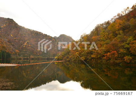 早出川ダムの紅葉(新潟県) 早出川ダムの紅葉(新潟県) 75669167