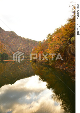 早出川ダムの紅葉(新潟県) 早出川ダムの紅葉(新潟県) 75669168