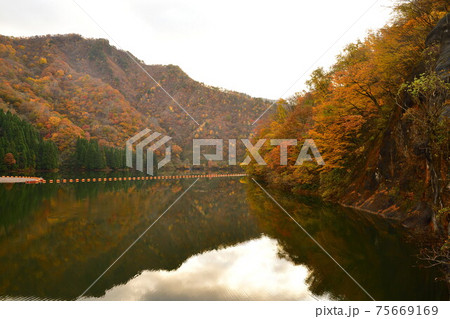 早出川ダムの紅葉(新潟県) 早出川ダムの紅葉(新潟県) 75669169