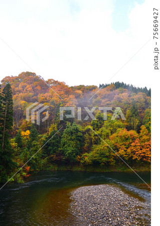 早出川渓谷の紅葉(新潟県) 早出川渓谷の紅葉(新潟県) 75669427
