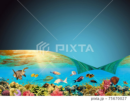 Underwater world. Coral fishes of Red sea. Underwater world. Coral fishes of Red sea. 75670027