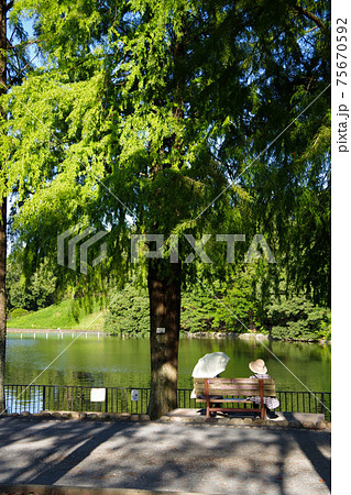 公園で過ごす人々　池のほとりのベンチにて 75670592