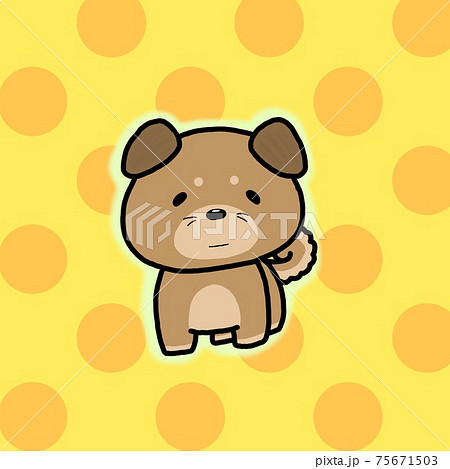 しば犬 75671503