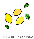 レモンのイラスト 75671508