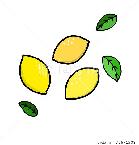 レモンのイラスト レモンのイラスト 75671508