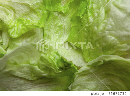 image of fresh salad background 75671732