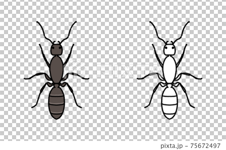 害虫 単体 アリ イラスト 害虫 単体 アリ イラスト 75672497