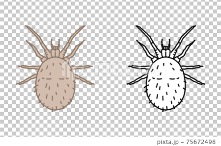 Pest single tick illustration 75672498