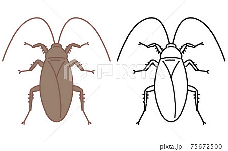 害虫 単体 ゴキブリ イラストのイラスト素材