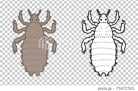 害虫 単体 シラミ イラスト 75672501