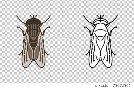 Pest single Abu illustration - Stock Illustration [75672505] - PIXTA