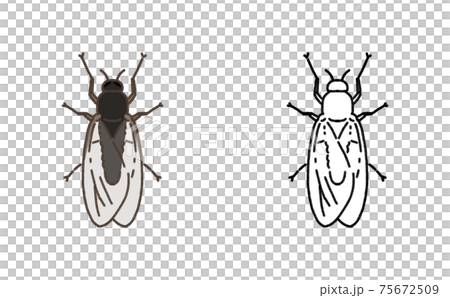 害蟲單buyo圖 75672509