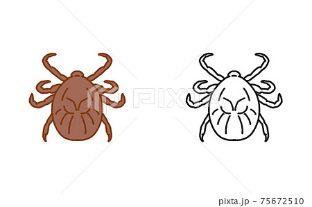 害虫 単体 マダニ イラストのイラスト素材