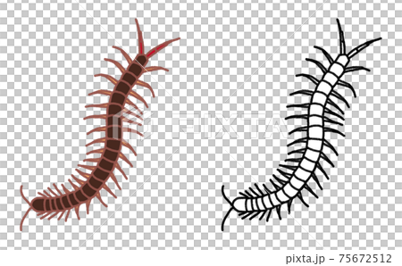 害虫 単体 ムカデ イラスト 75672512