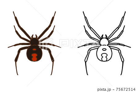 害虫 単体 セアカゴケグモ イラスト 害虫 単体 セアカゴケグモ イラスト 75672514