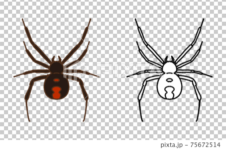 害虫 単体 セアカゴケグモ イラスト 害虫 単体 セアカゴケグモ イラスト 75672514