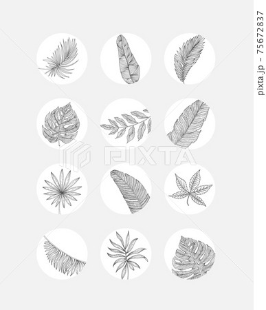 Social media story highlights covers. Abstract flowers and leaves 75672837