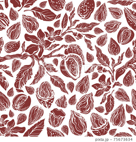Almond seamless pattern. Vector vintage garden 75673634
