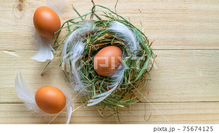 Easter natural colour eggs in basket with spring tulips, white feathers on wooden table background in Happy Easter decoration. Festive decoration in flat lay. 75674125