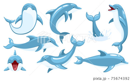 Dolphin vector set Dolphin vector set 75674392