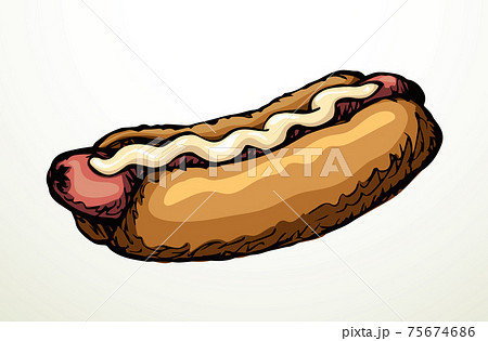 Hot Dog. Vector drawing food 75674686
