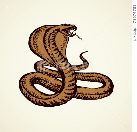 Snake. Vector drawing icon sign 75674783