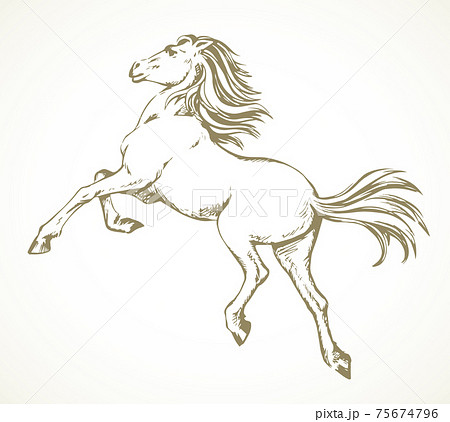 Graphic Image Of A Galloping Horse. The Outline Of A Horse On A White  Background. Vector Illustration Royalty Free SVG, Cliparts, Vectors, and  Stock Illustration. Image 70914575.