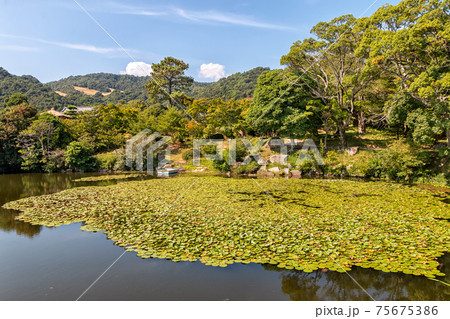 Pond at the Old Mori Garden in Yamaguchi, Japan 75675386