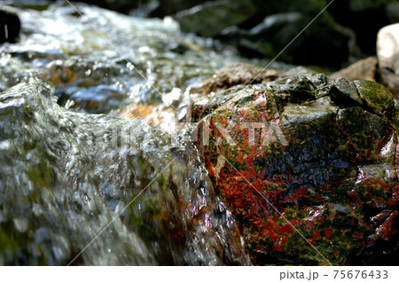 小川の水の流れ 小川の水の流れ 75676433