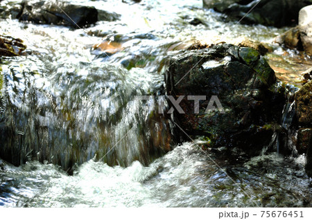小川の水の流れ 75676451