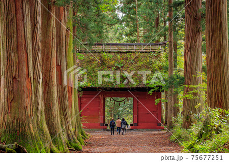 戸隠神社奥社 参道 杉並木と山門 長野県戸隠の写真素材