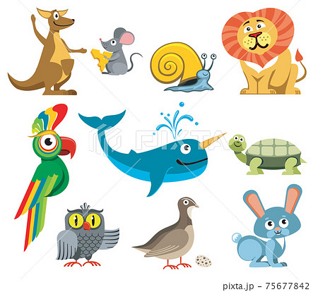 Cute animals set in cartoon style Cute animals set in cartoon style 75677842