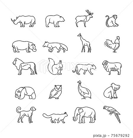 Animals thin line icons Animals thin line icons 75679292