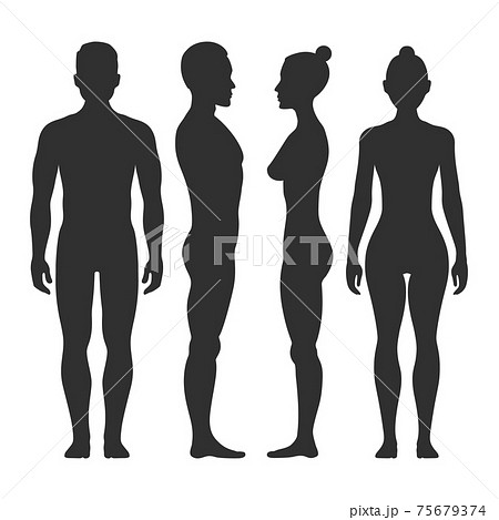 Man and woman silhouettes in front side view 75679374