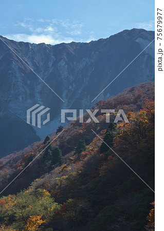 《鳥取県》大山町散策、秋の大山隠岐国立公園の風景 75679977