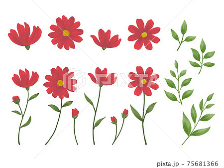花のイラストセット 花のイラストセット 75681366